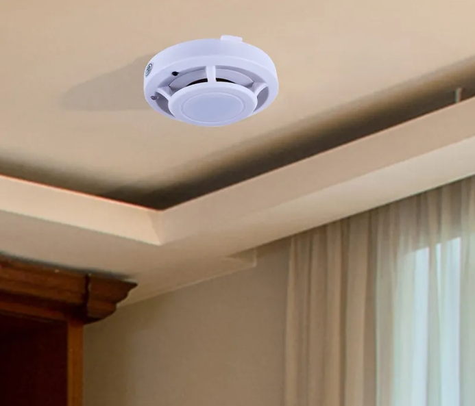 ????????????? ?????????????