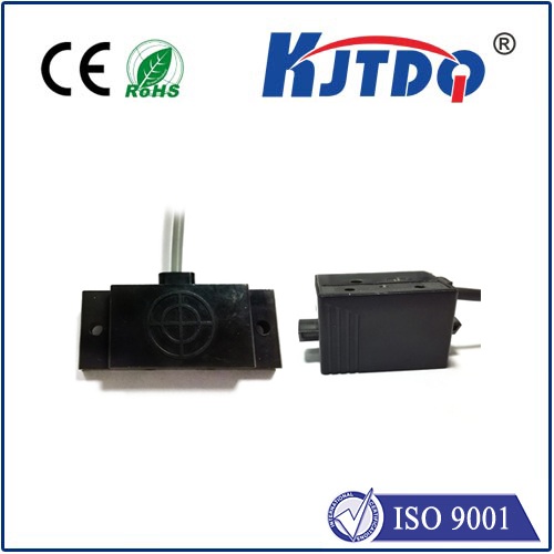 ???????????? ????????????