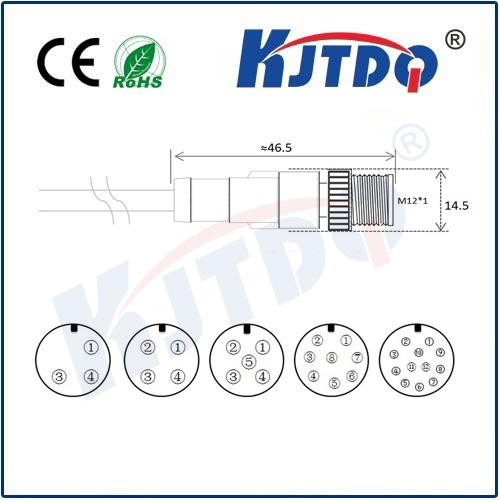 M12連接器 A型-澆鑄電纜系列 直頭